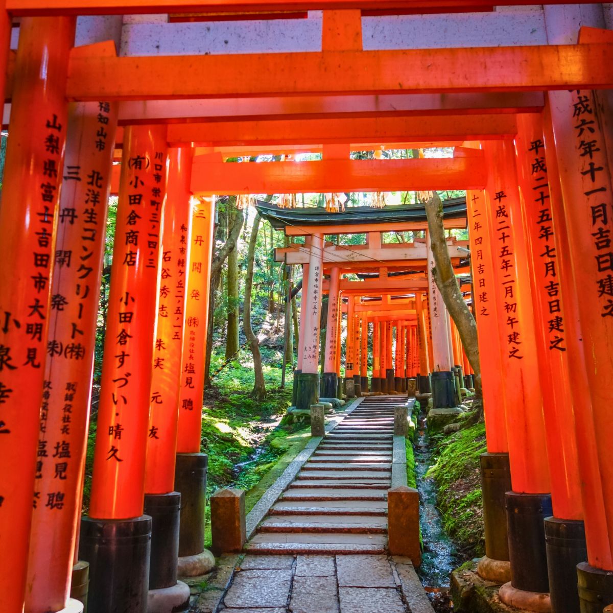 Những địa điểm check-in tại Nhật Bản không thể bỏ lỡ